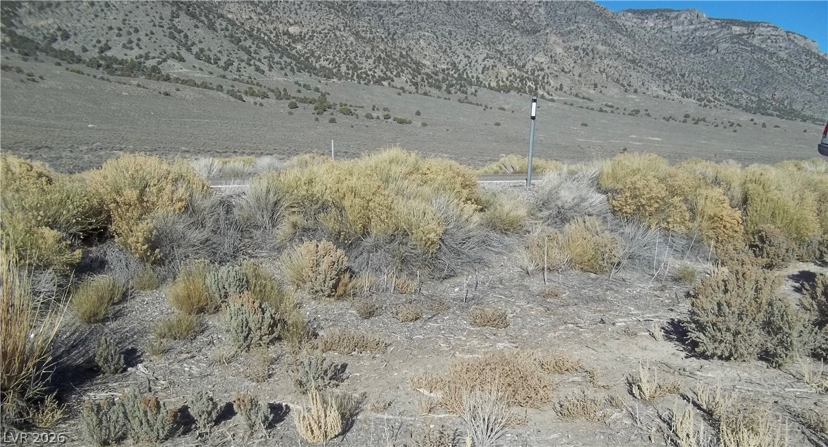 5 Acres In Newark Valley Ely, NV 89301 - Photo 8 of 9