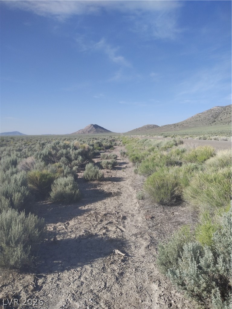 5 Acres In Newark Valley Ely, NV 89301 - Photo 9 of 9