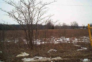 3 Cochrane Almont, MI 48003 - Photo 1 of 1 Property Photo