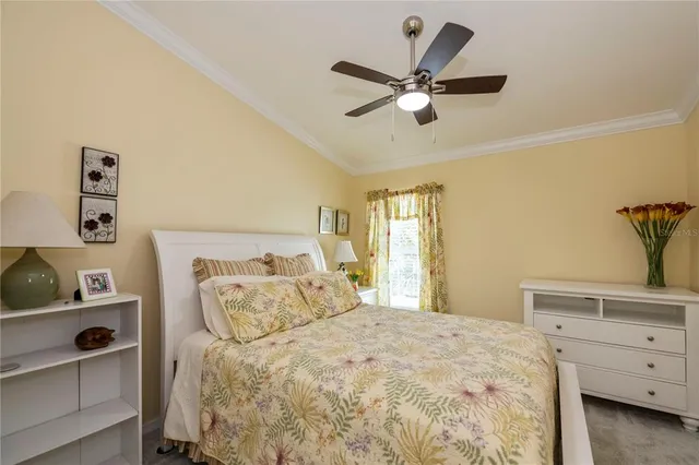 a bathroom with a shower curtain and a bathtub