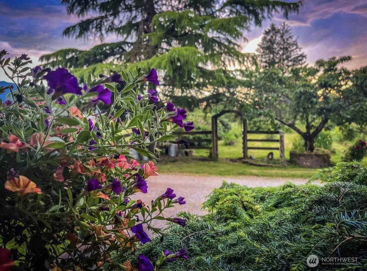 31459 Barben Road Sedro-Woolley, WA 98284 - Photo 18 of 32 a view of yard with flowers and flowers
