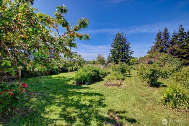 a view of a backyard