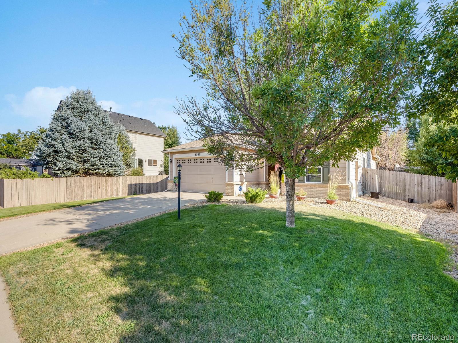 6360 Viewpoint Avenue Firestone, CO 80504 - Photo 3 of 27 a white house that has a tree in front of it