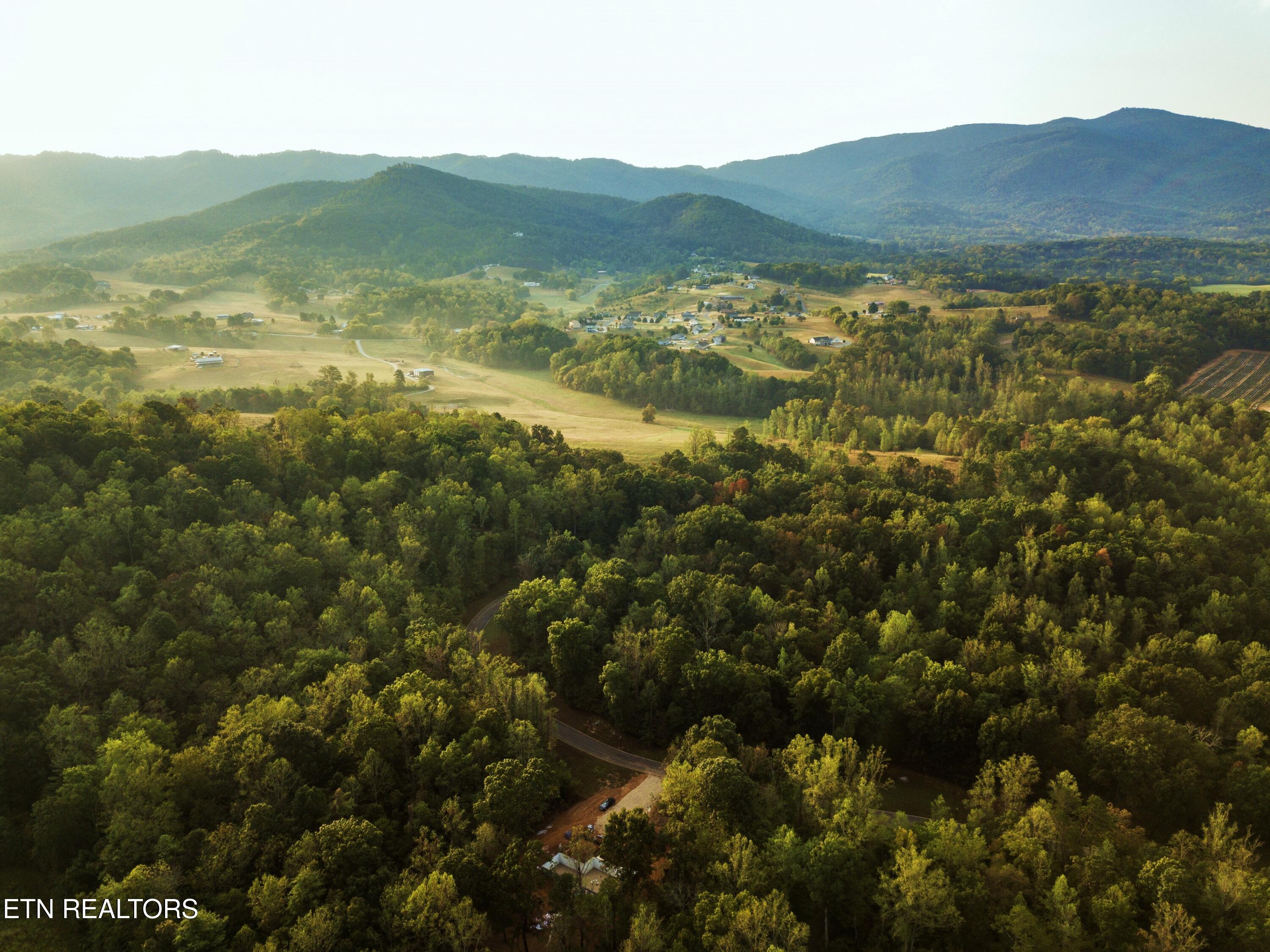 226 Meadowood Road Newport, TN 37821 - Photo 45 of 55 meadowood - tim kayel (82)