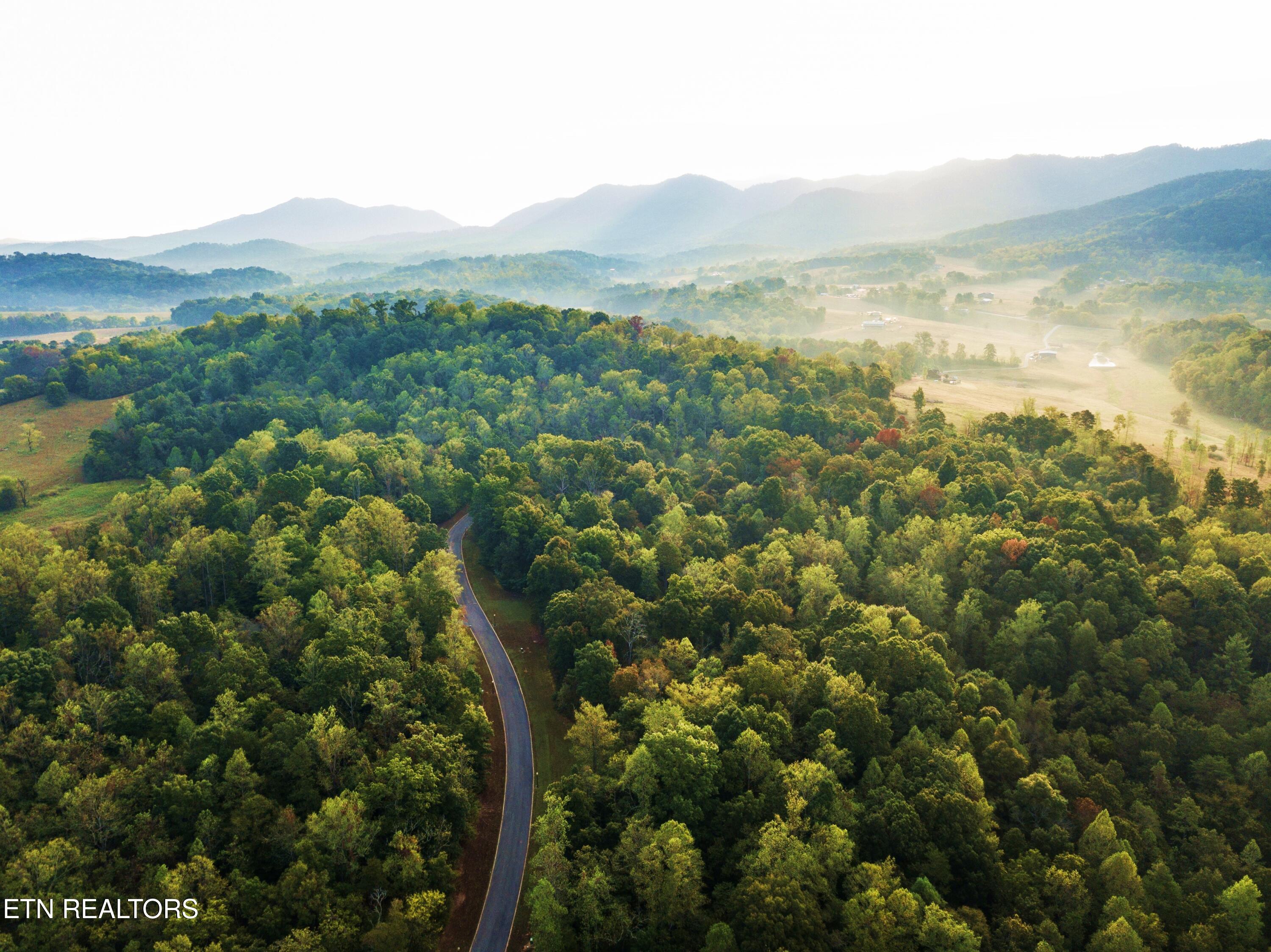 226 Meadowood Road Newport, TN 37821 - Photo 46 of 55 meadowood - tim kayel (83)