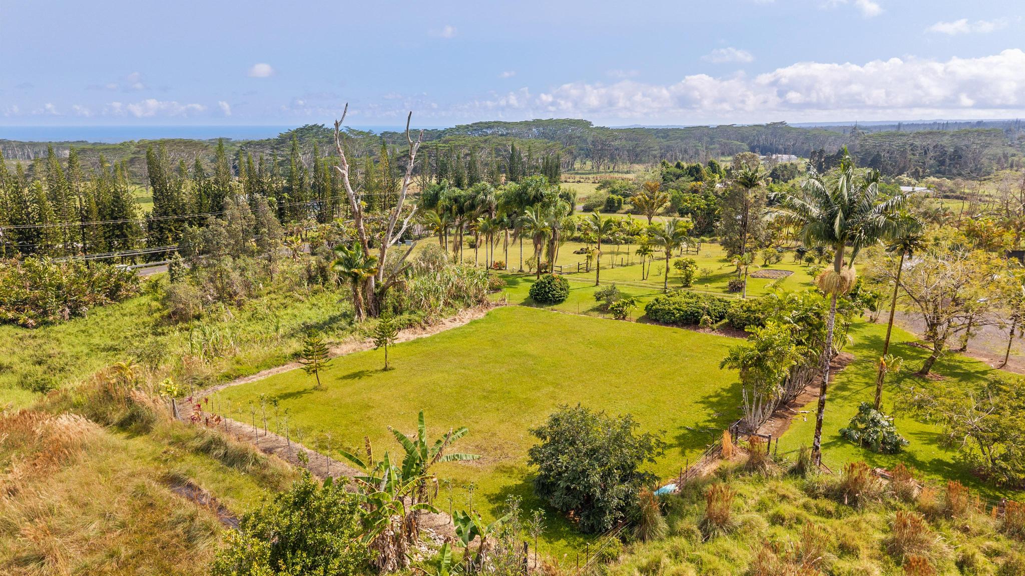20 South Kulani Road Mountain View, HI 96771 - Photo 1 of 10 Gallery Image 1