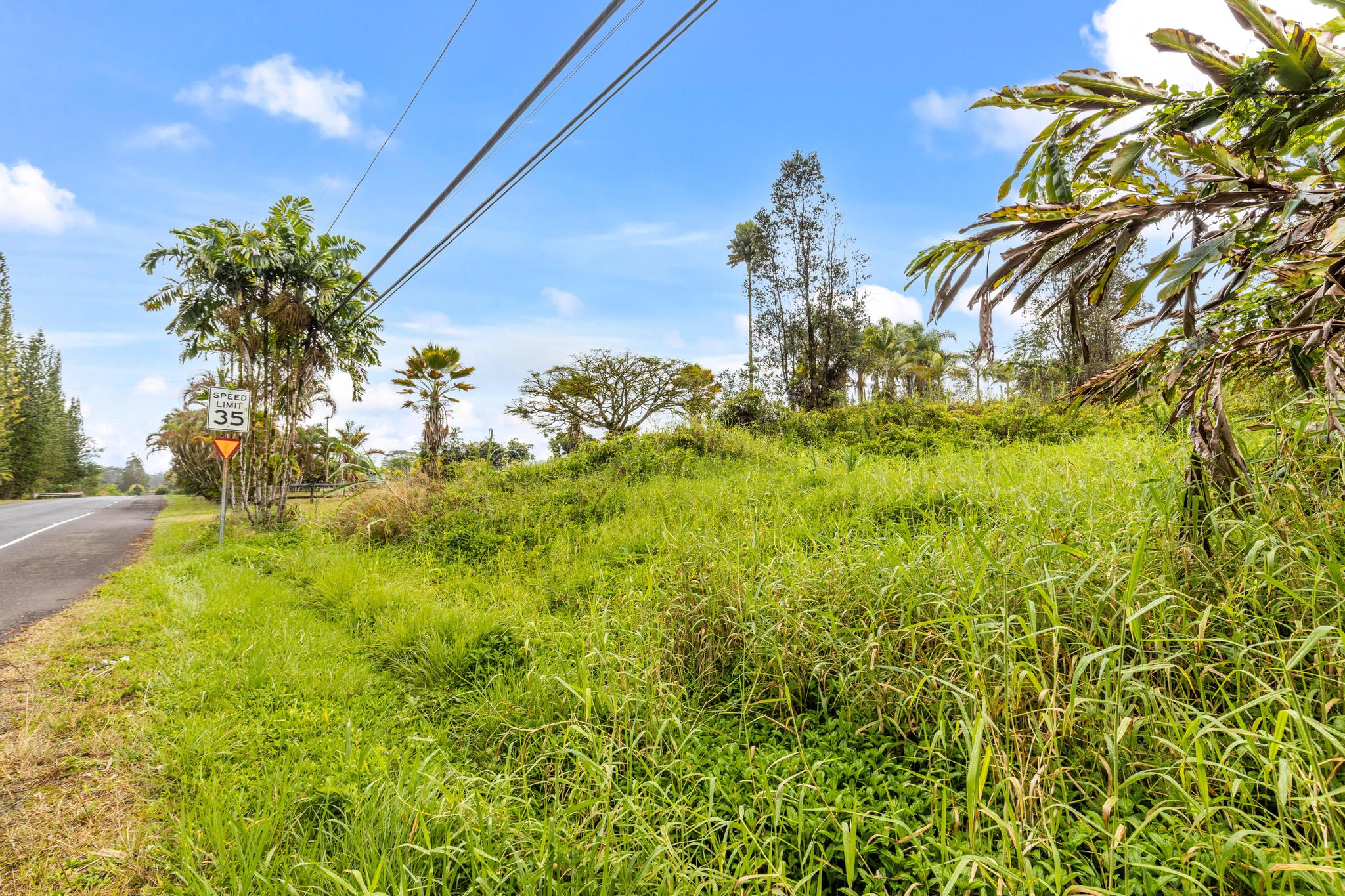 20 South Kulani Road Mountain View, HI 96771 - Photo 5 of 10 Gallery Image 5