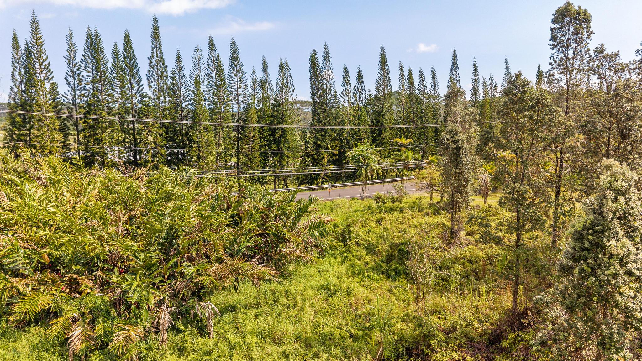 20 South Kulani Road Mountain View, HI 96771 - Photo 6 of 10 Gallery Image 6