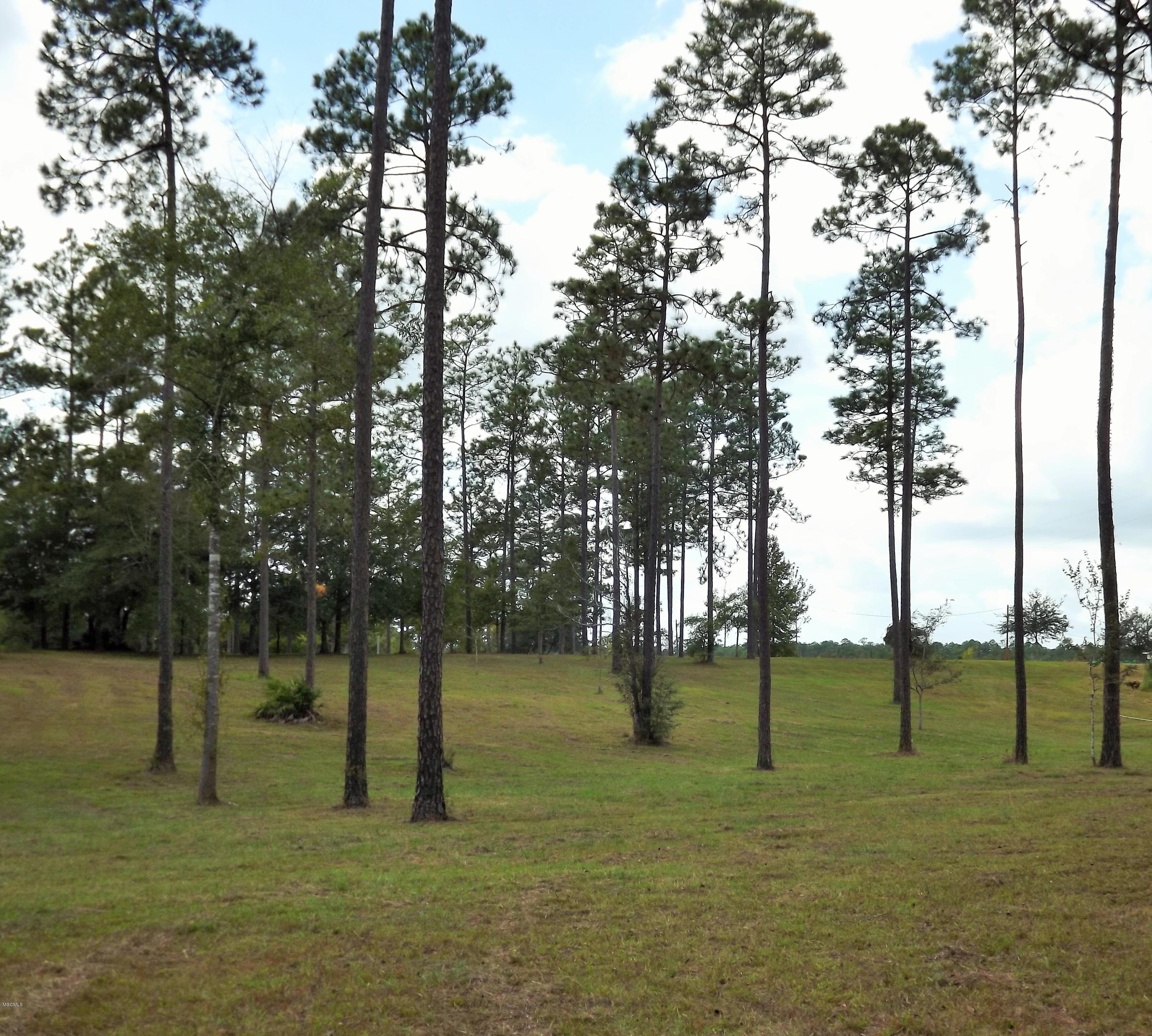 18700 Rayford Shumock Road Moss Point, MS 39562 - Photo 80 of 101 DSCF2419