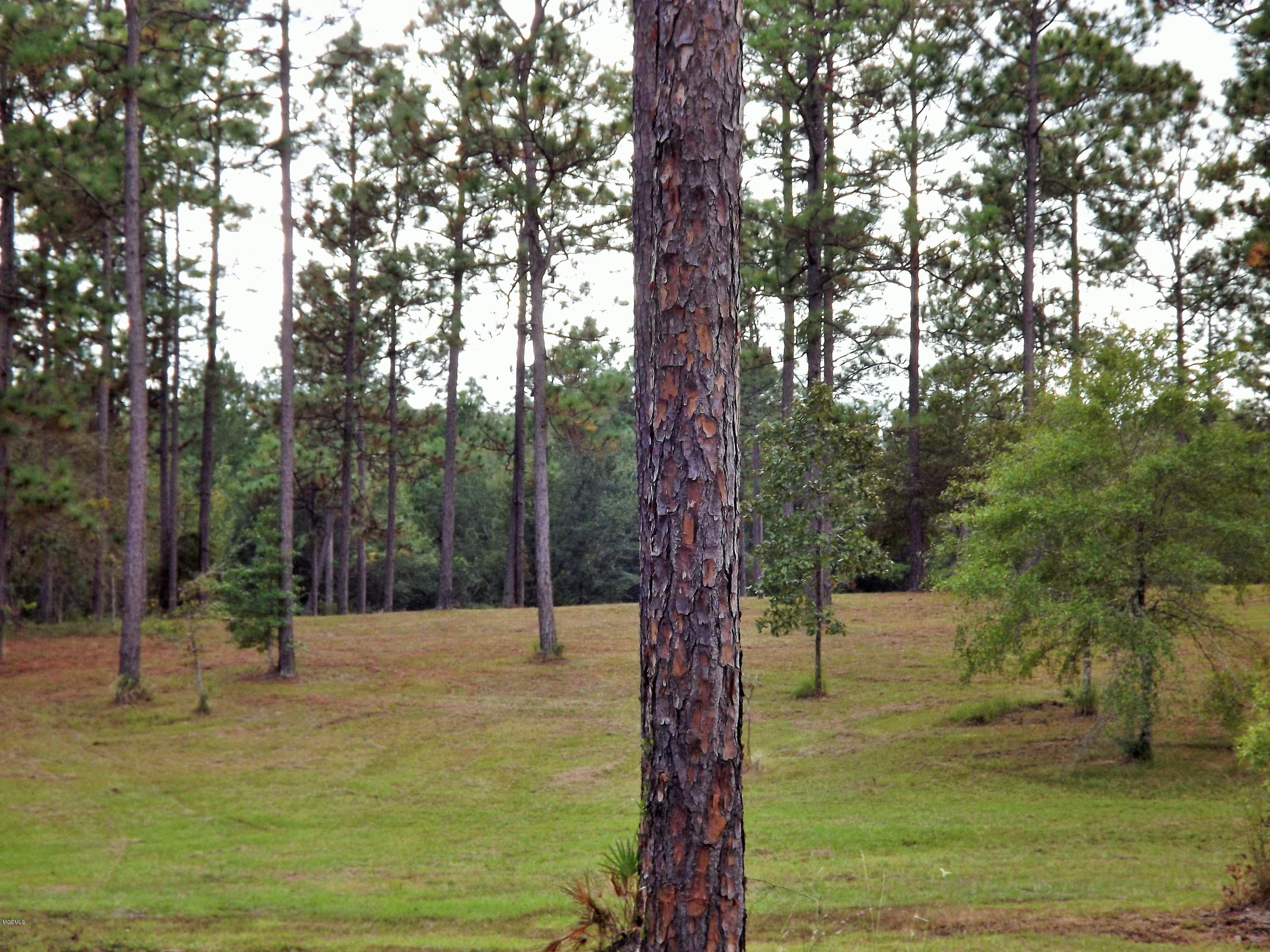 18700 Rayford Shumock Road Moss Point, MS 39562 - Photo 82 of 101 DSCF2420
