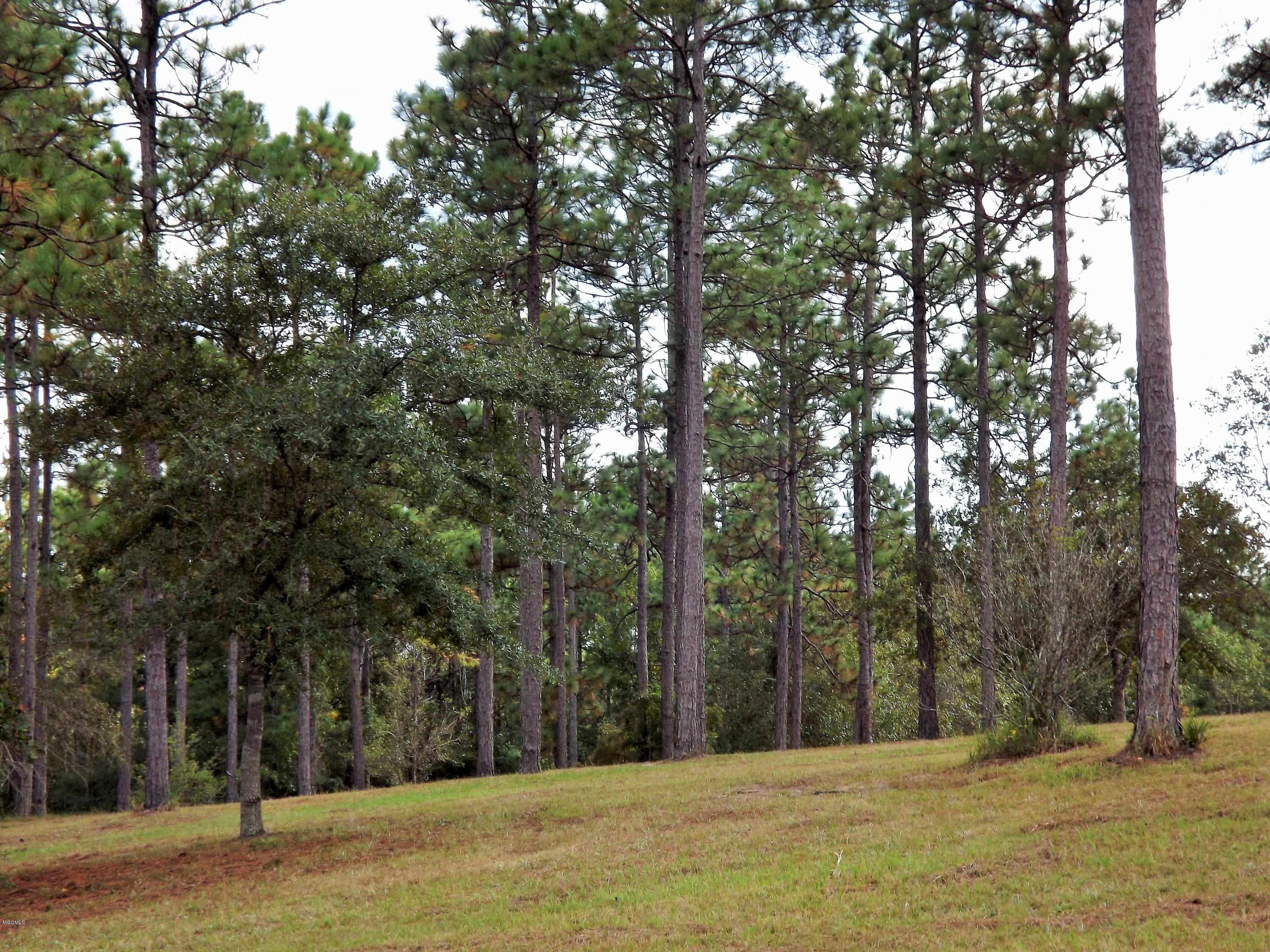 18700 Rayford Shumock Road Moss Point, MS 39562 - Photo 83 of 101 DSCF2421