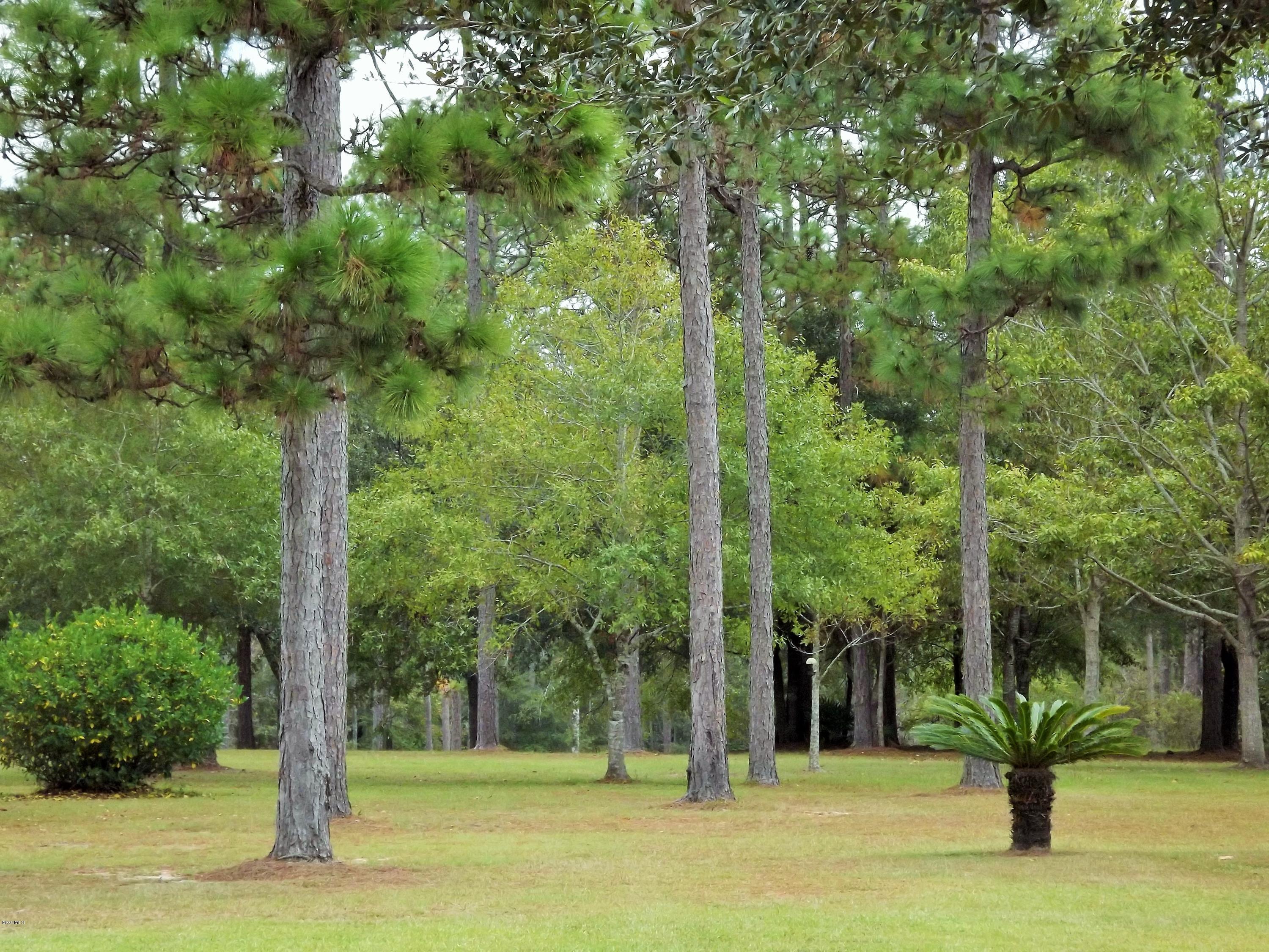 18700 Rayford Shumock Road Moss Point, MS 39562 - Photo 86 of 101 DSCF2287