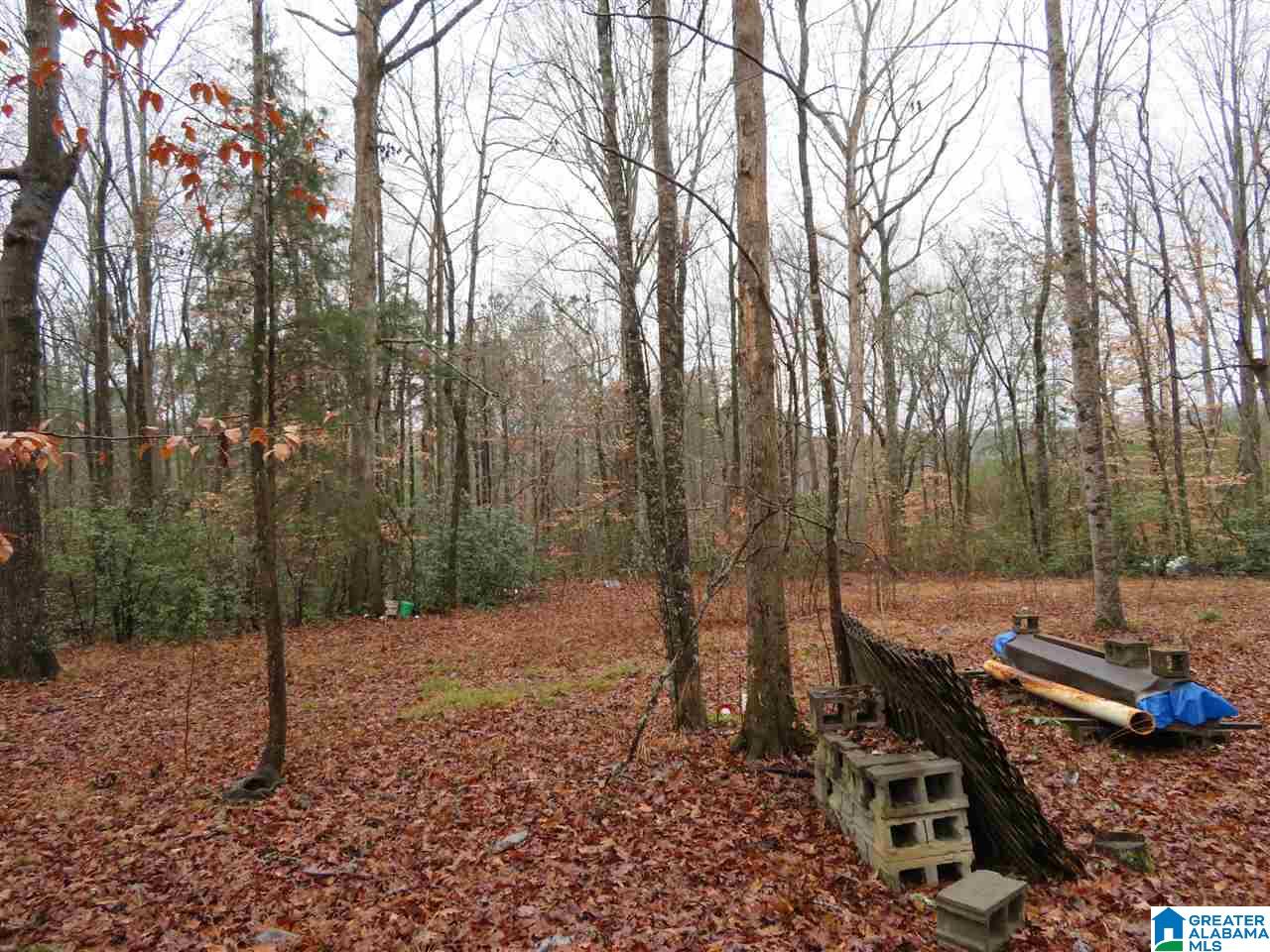 138 Cedar Grove Road West Blocton, AL 35184 - Photo 23 of 44