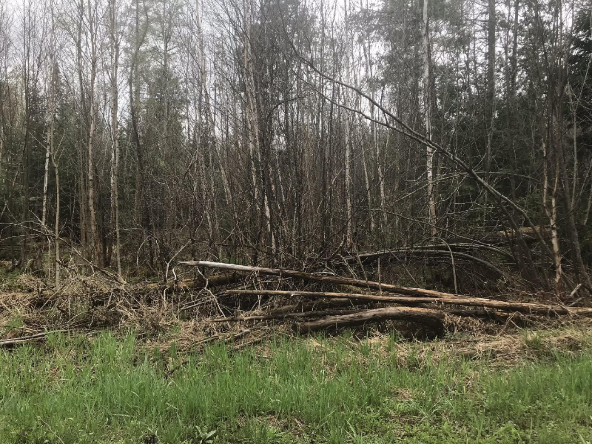 19 19 Mile Road Tustin, MI 49688 - Photo 1 of 6 01ea5f55a753f73bfb01f8e703eb1adccd96c005