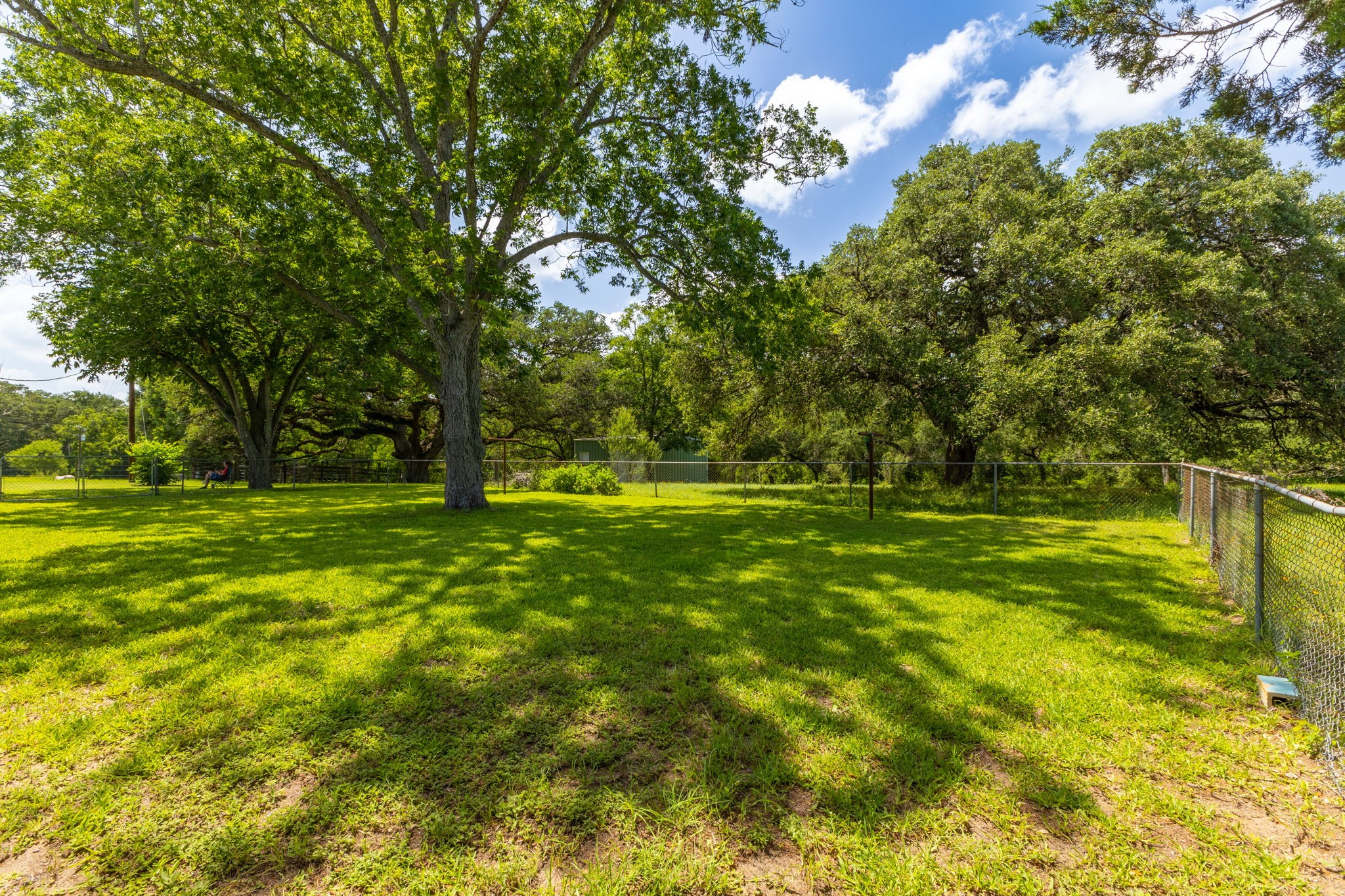 3505 Brunes Mill Road Columbus, TX 78934 - Photo 45 of 49