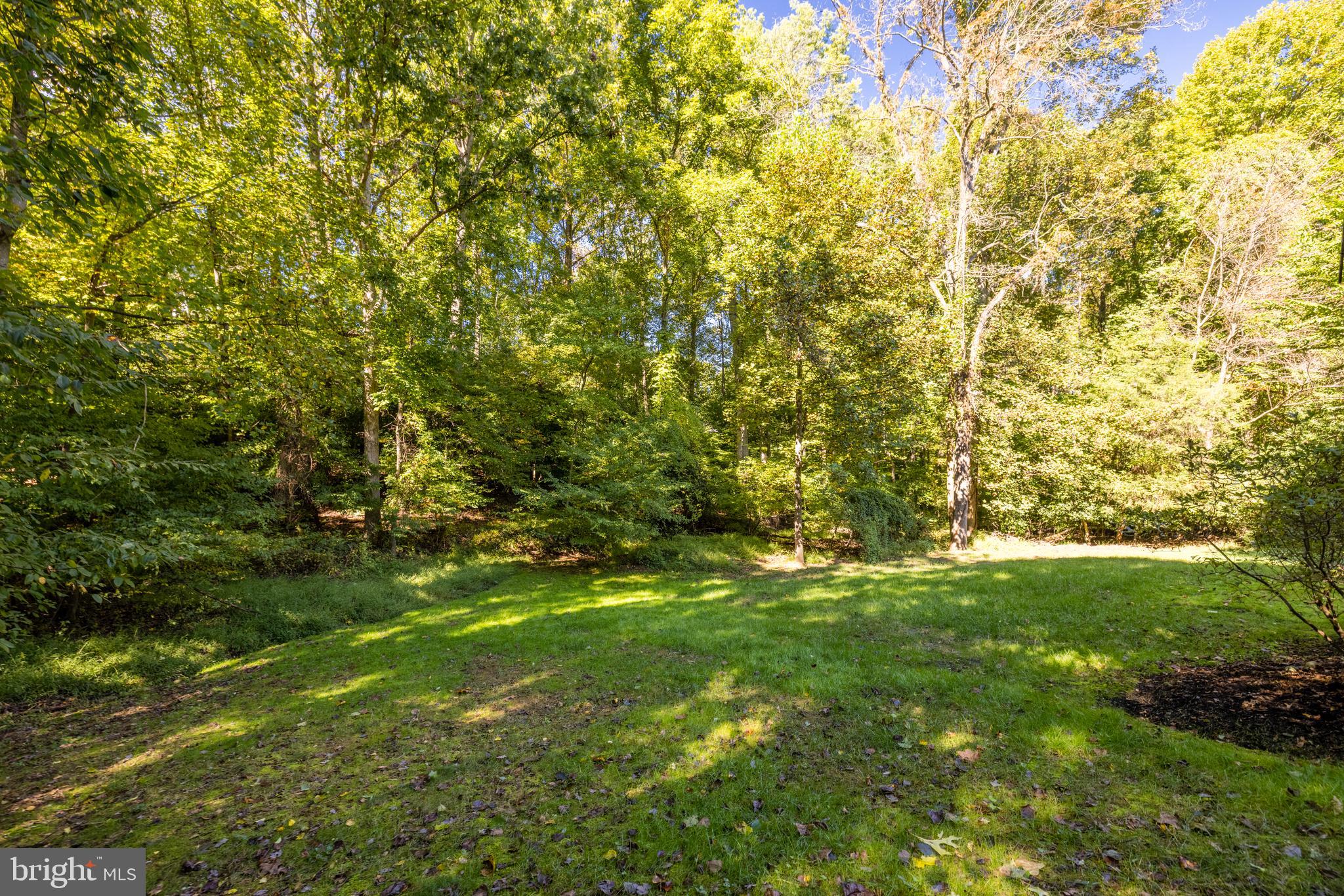 2800 Rifle Ridge Road Oakton, VA 22124 - Photo 59 of 64