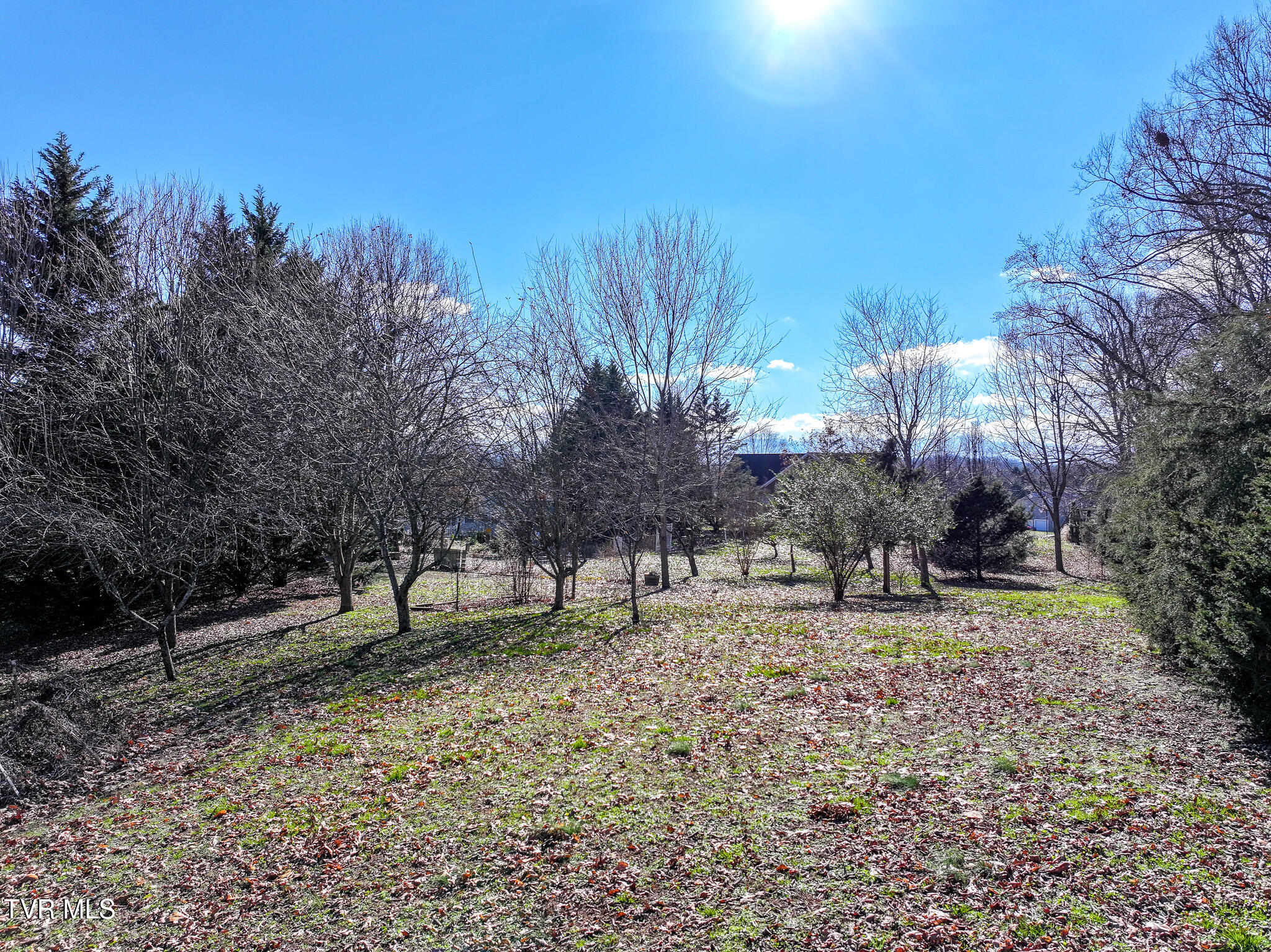78 Fairview Ridges Drive Afton, TN 37616 - Photo 57 of 71 46