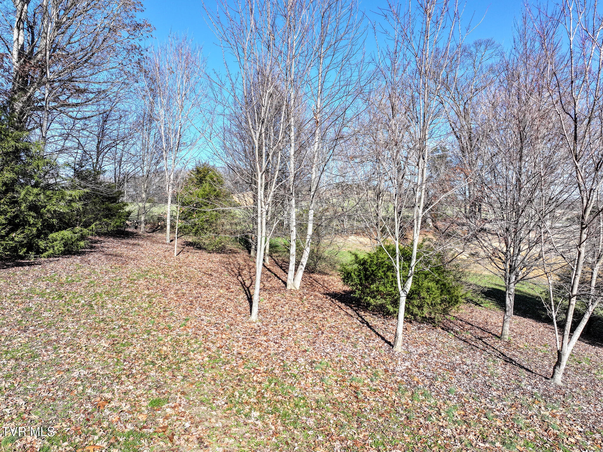 78 Fairview Ridges Drive Afton, TN 37616 - Photo 58 of 71 47