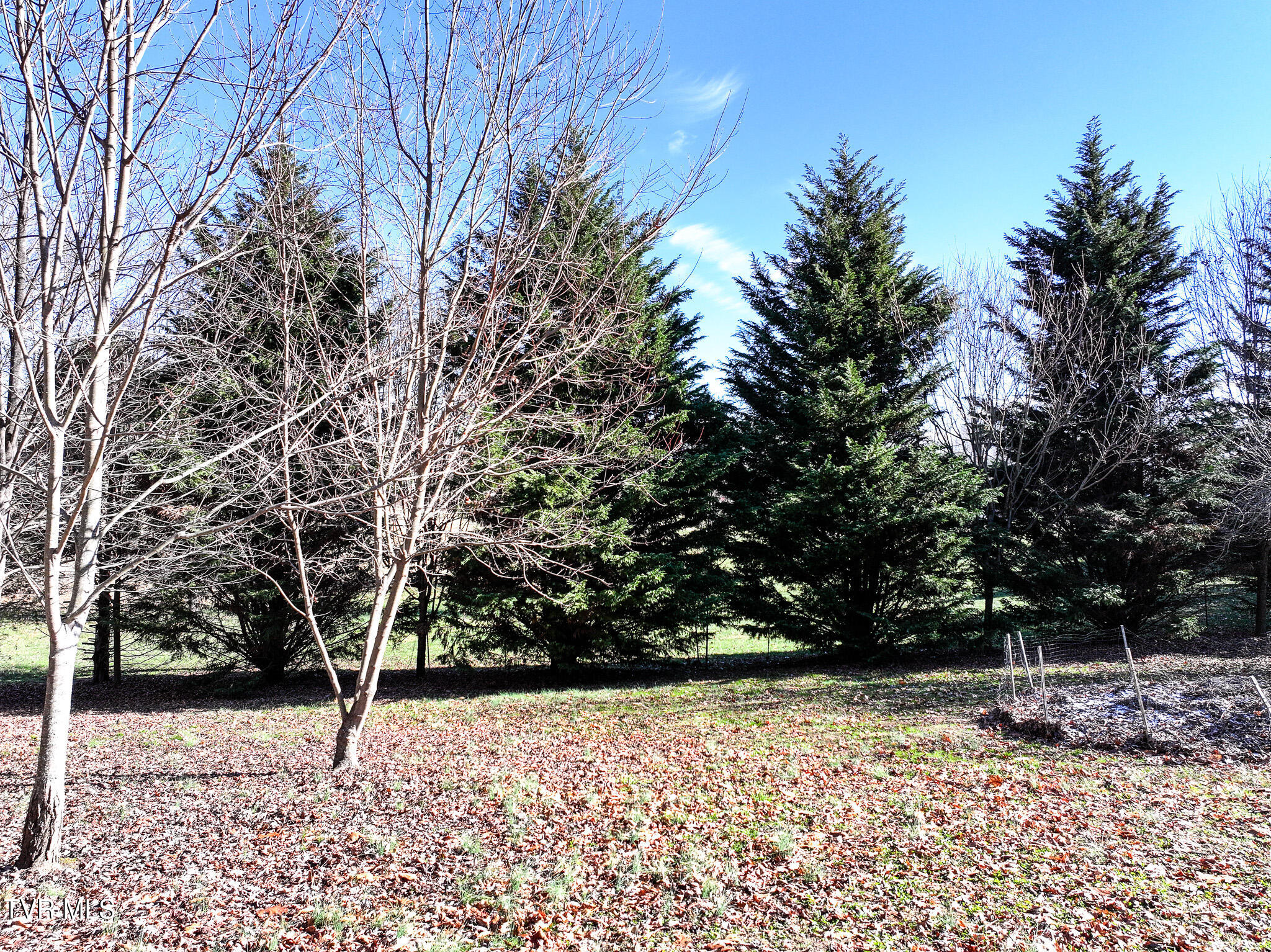 78 Fairview Ridges Drive Afton, TN 37616 - Photo 59 of 71 48