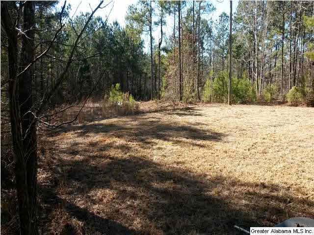 39 Honeycutt Mill Road Thorsby, AL 35171 - Photo 3 of 20