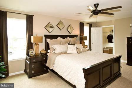 5642 Country Farm Road White Marsh, MD 21162 - Photo 14 of 21 Bedroom (Master)