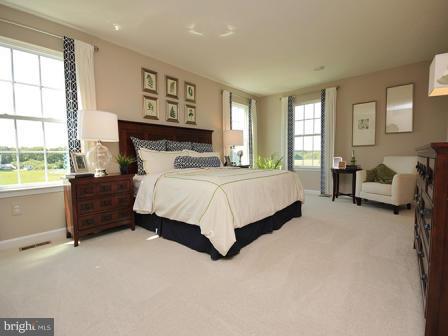 5642 Country Farm Road White Marsh, MD 21162 - Photo 15 of 21 Bedroom (Master)