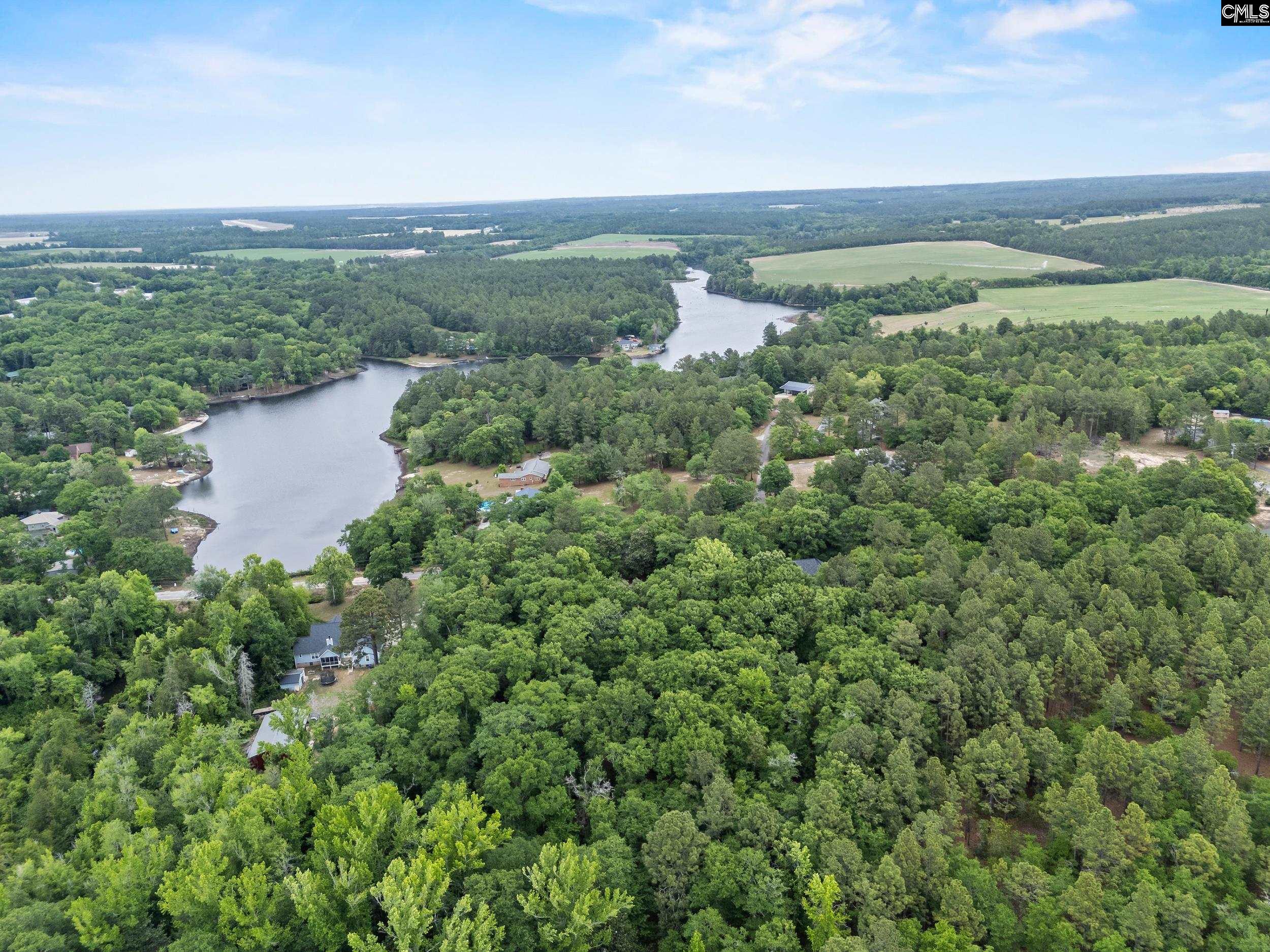 132 Forts Pond Road Pelion, SC 29123 - Photo 46 of 54