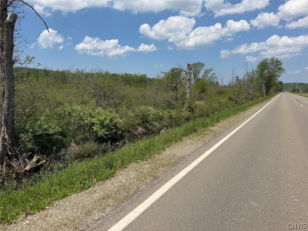 Buttermilk Road South Dayton, NY 14138 - Photo 24 of 26
