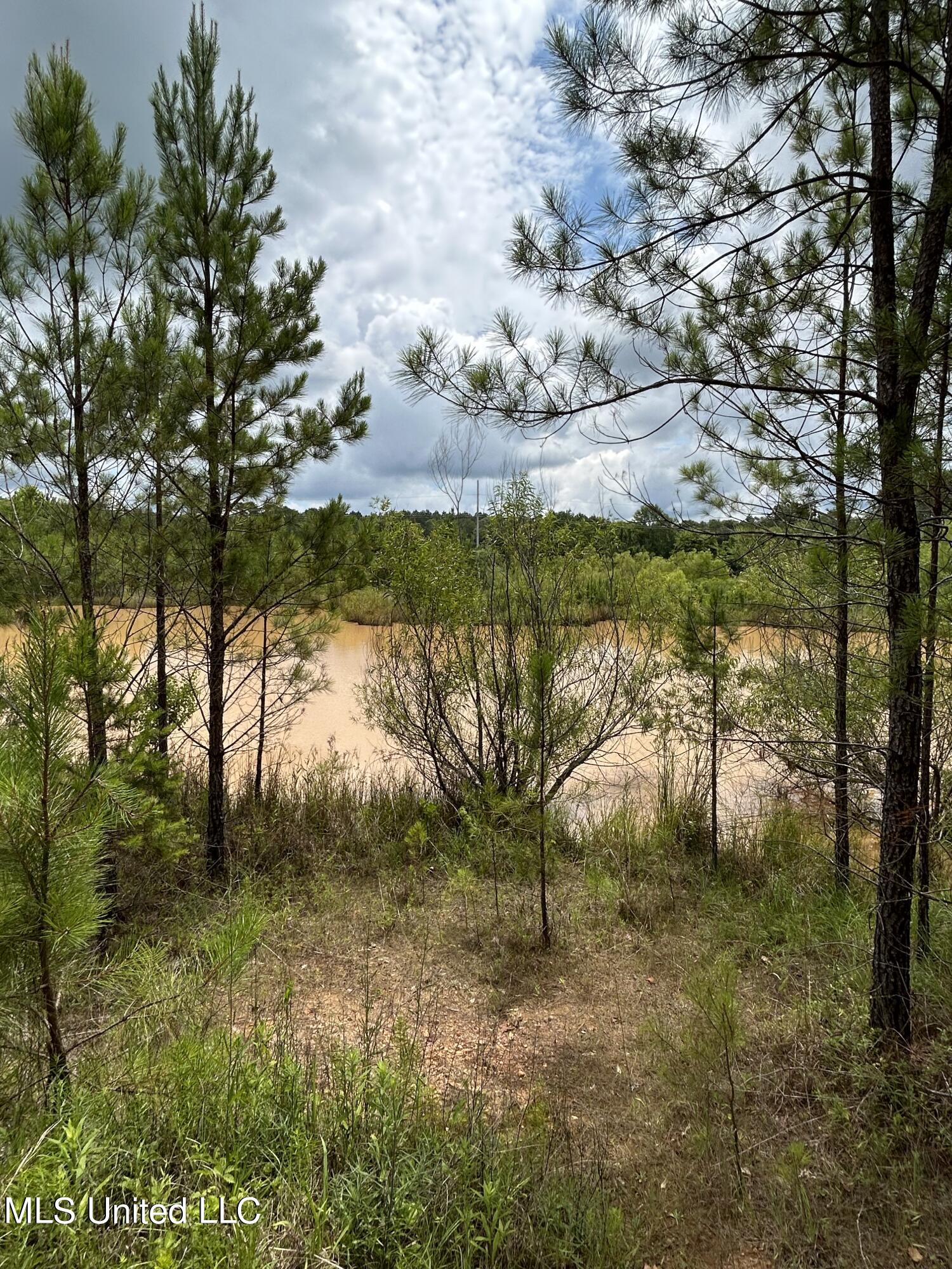 916 White Road Florence, MS 39073 - Photo 4 of 14 White Rd 4