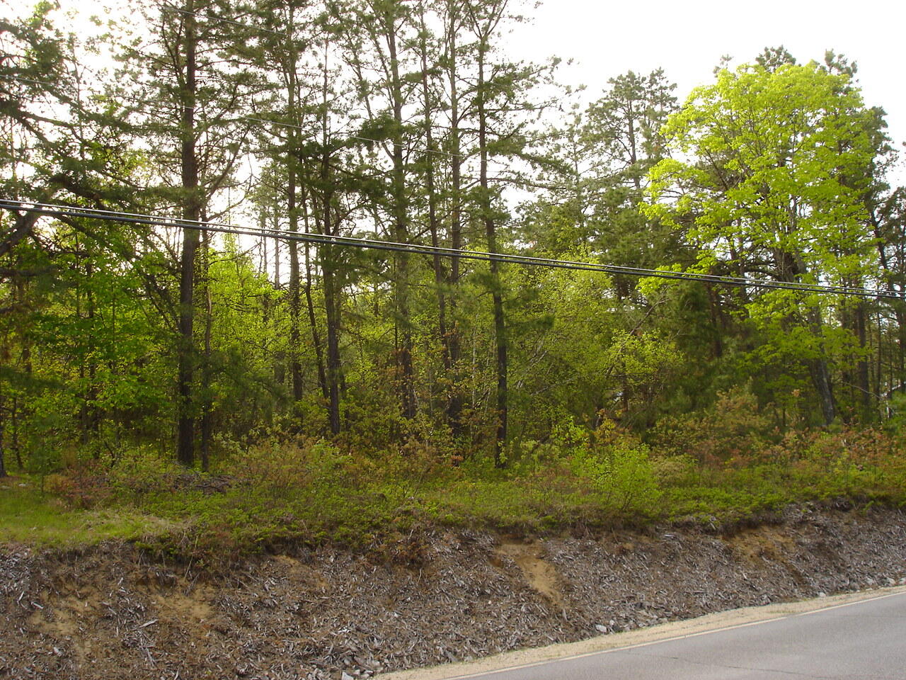 Lot 5 Newfield Road Shapleigh, ME 04076 - Photo 4 of 4 DSC00056