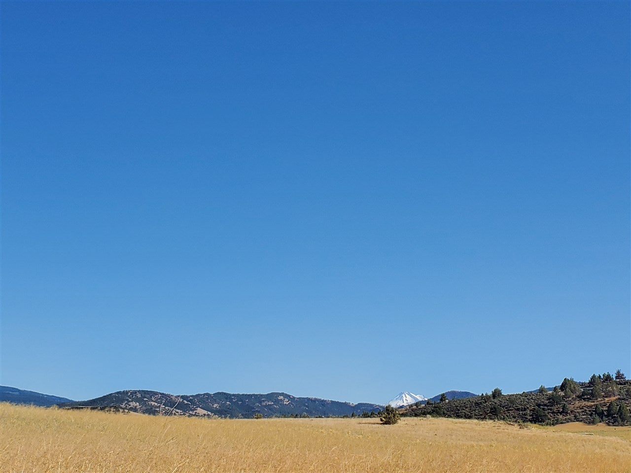 81 Iron Gate Road Hornbrook, CA 96044 - Photo 19 of 19 Gallery Image 19