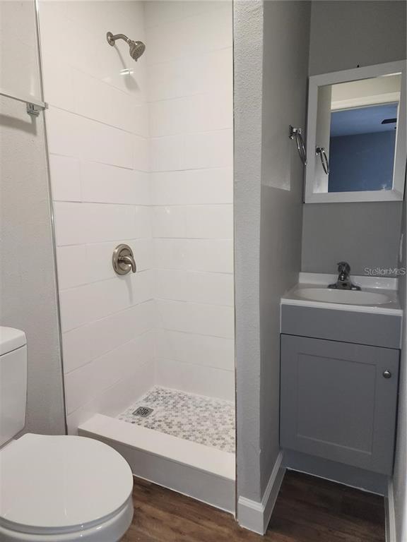 1339 7th Street Southwest Winter Haven, FL 33880 - Photo 8 of 11 a bathroom with a sink a toilet and shower