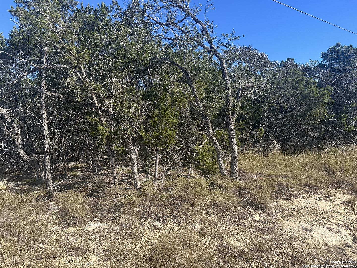 350 Restless Wind Spring Branch, TX 78070 - Photo 2 of 7 a view of a forest with trees in the background
