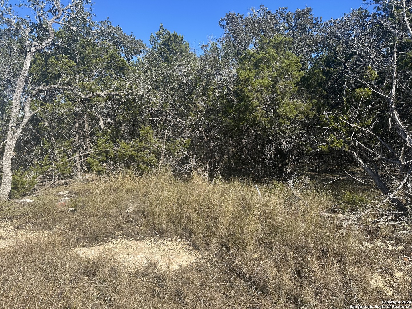 350 Restless Wind Spring Branch, TX 78070 - Photo 3 of 7 a view of a yard
