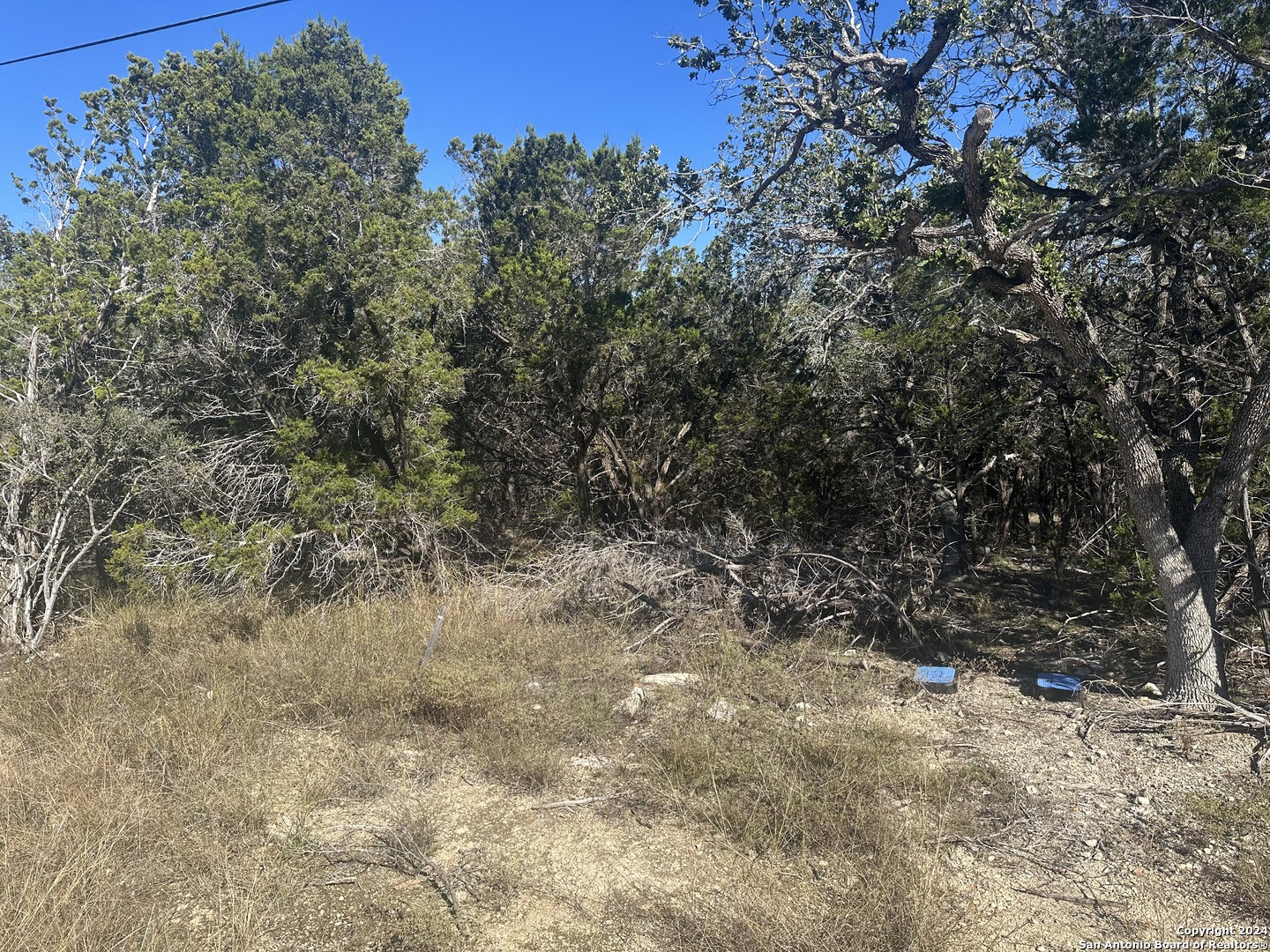 350 Restless Wind Spring Branch, TX 78070 - Photo 4 of 7 a view of a yard with a tree