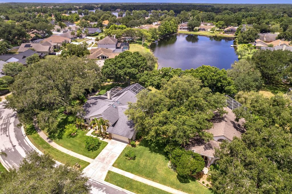 8412 Ridgebrook Circle Odessa, FL 33556 - Photo 77 of 87