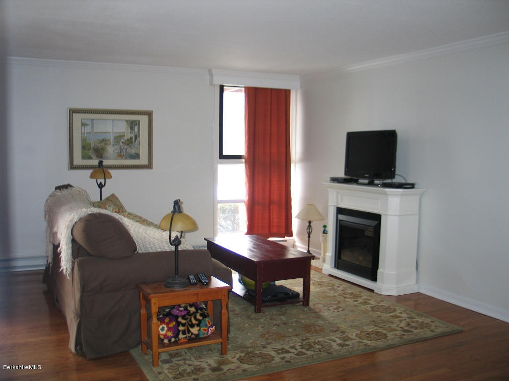189 Stratton Road, Unit D1 Williamstown, MA 01267 - Photo 2 of 9 Living-dining area