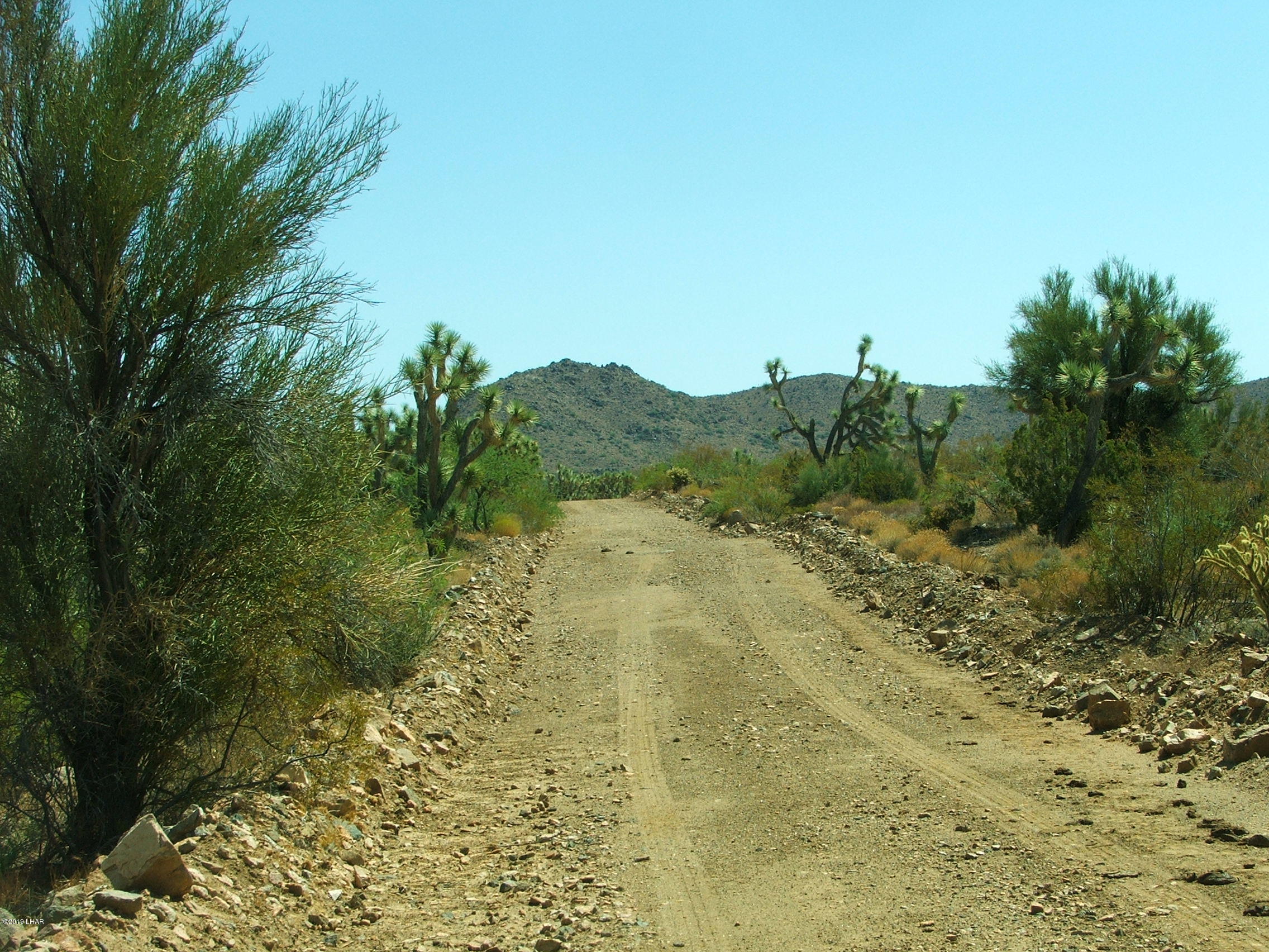 425 Tonto Road Yucca, AZ 86438 - Photo 5 of 8 DSCF2006