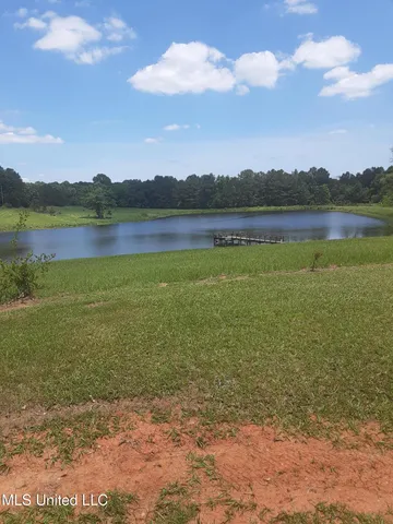 $1,295,000 | 683 B Cedar Hill Road, Flora, MS 39071