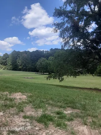 $1,295,000 | 683 B Cedar Hill Road, Flora, MS 39071