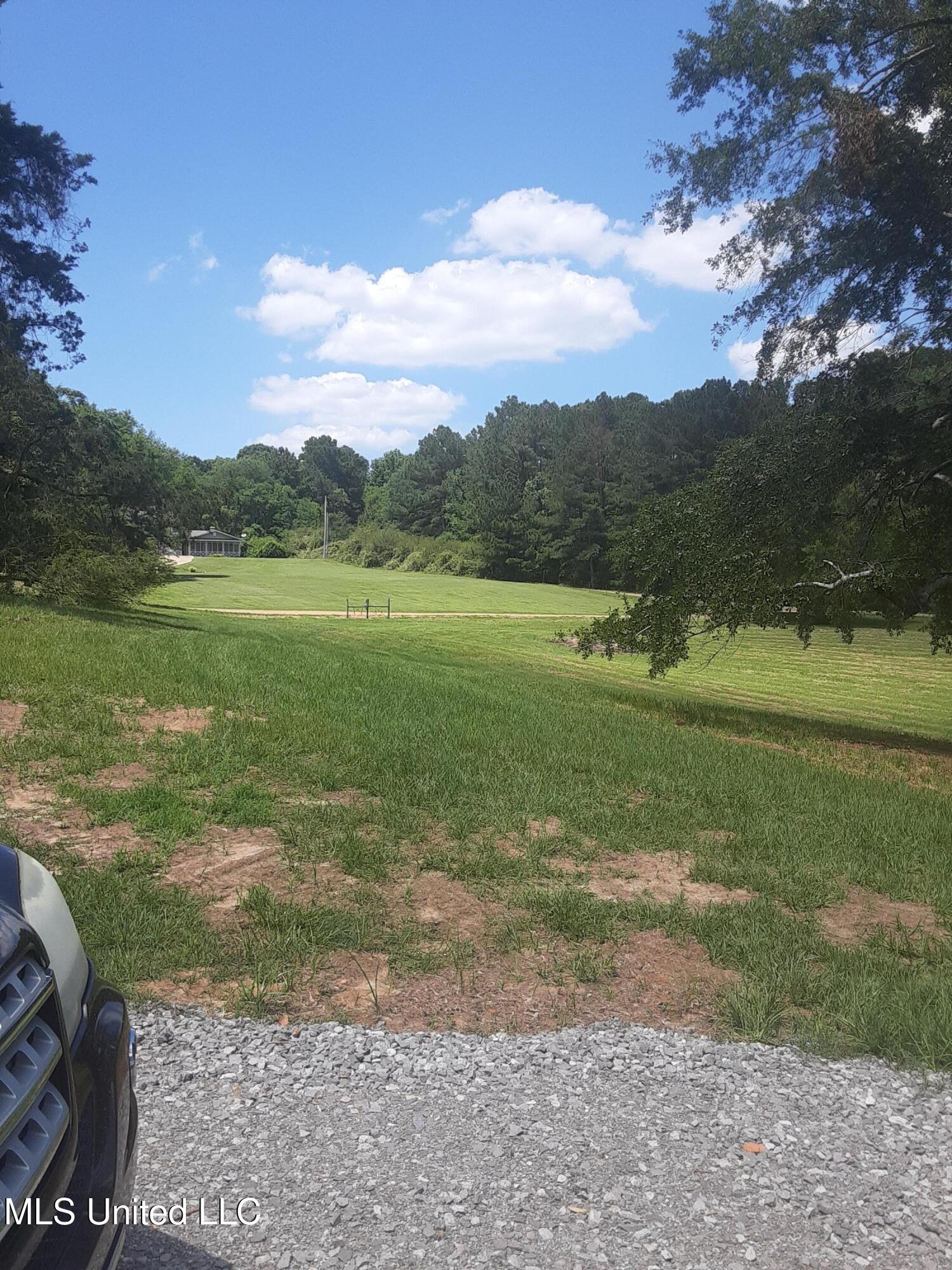 683 B Cedar Hill Road Flora, MS 39071 - Photo 60 of 62 20220604_142023