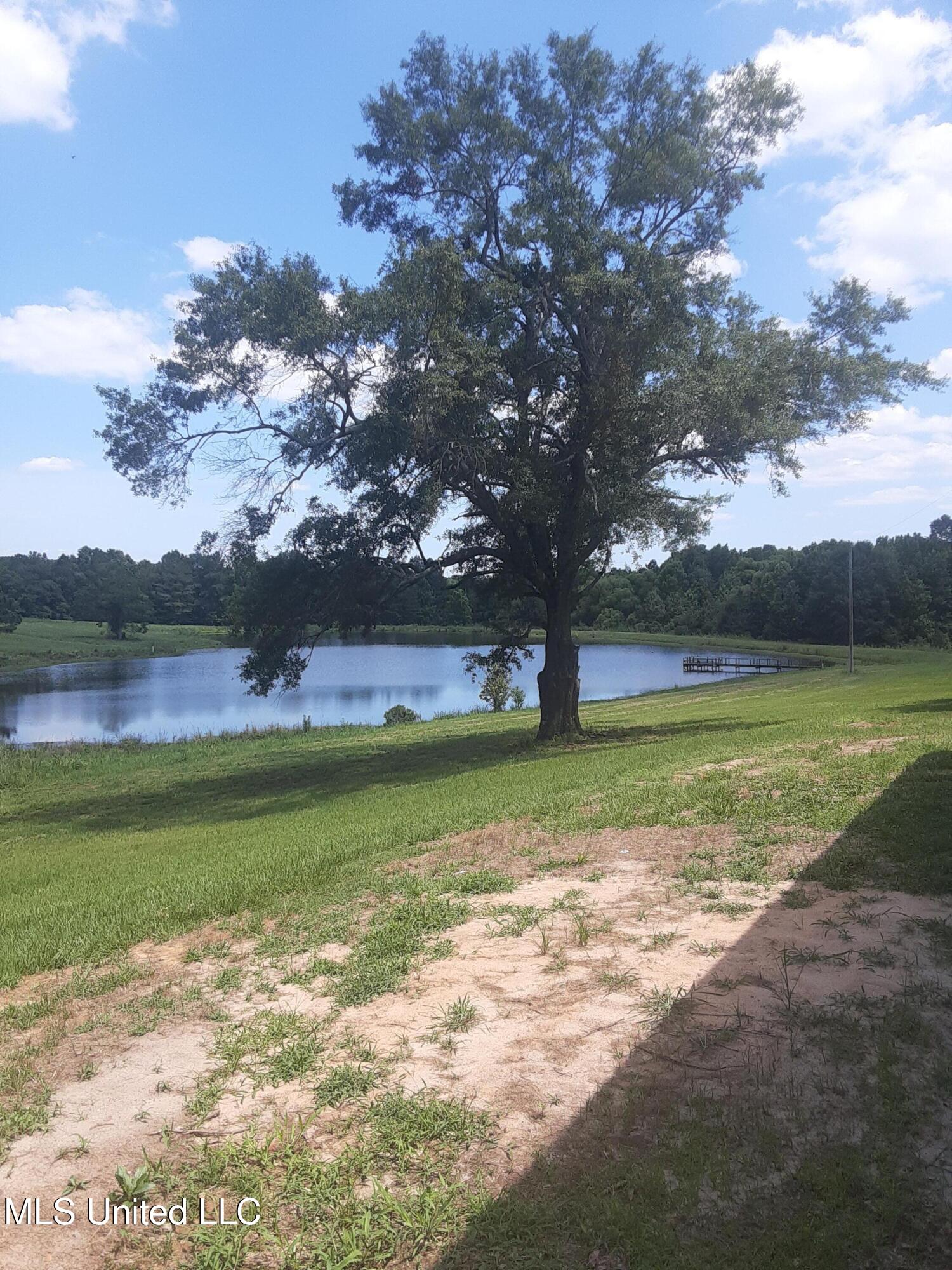 683 B Cedar Hill Road Flora, MS 39071 - Photo 61 of 62 20220604_142033