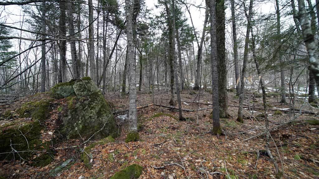 97 Gardner Point Road Mount Chase, ME 04765 - Photo 12 of 33 land-boulder-mt-chase-me