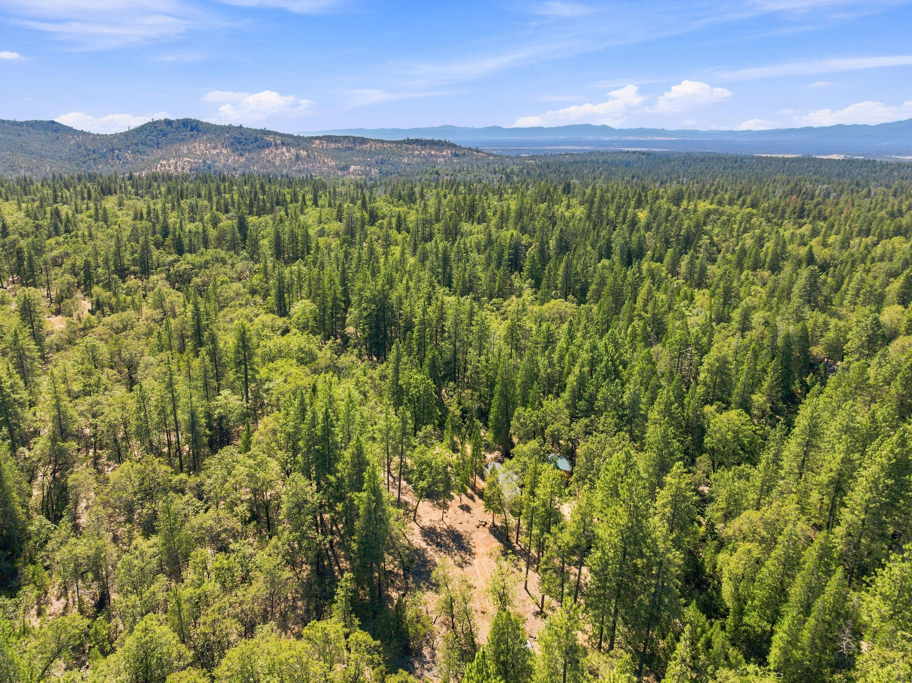10814 Blue Mountain Ranch Road Whitmore, CA 96096 - Photo 44 of 45 DJI_20260908053033_0484_D