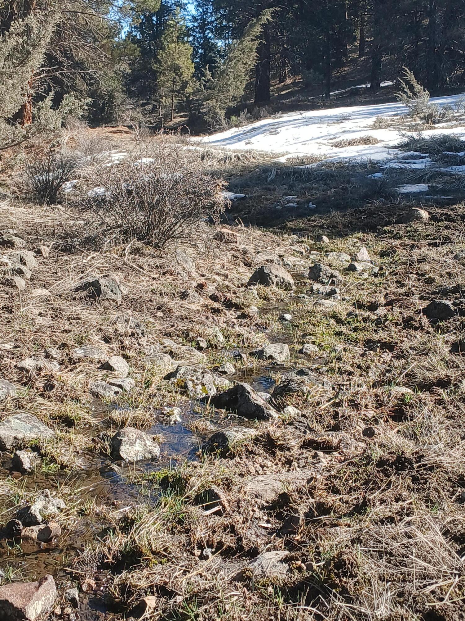 0 Drews Road Sprague River, OR 97639 - Photo 10 of 14 20250324_153959