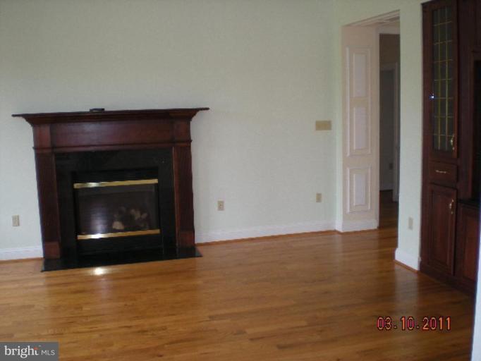 2067 Welltown Road Clear Brook, VA 22624 - Photo 8 of 25 gas fireplace