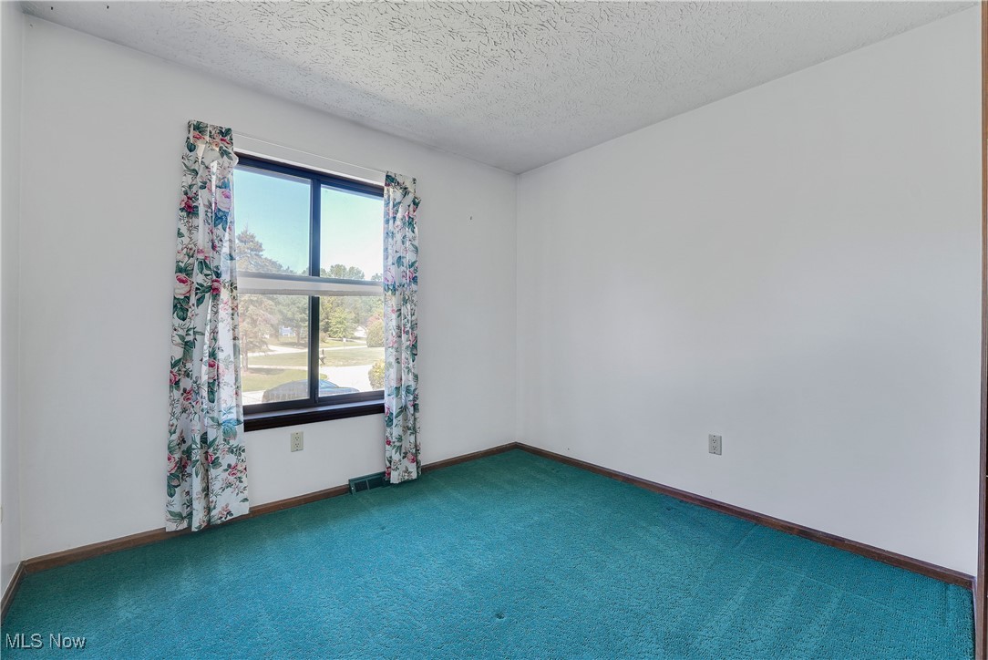 123 Boulder Ridge Place Painesville, OH 44077 - Photo 18 of 28 Unfurnished room with carpet flooring and a textured ceiling