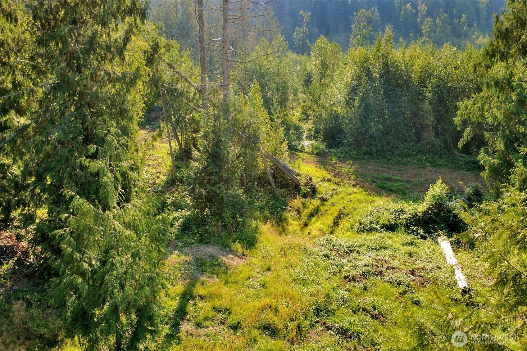 0 North Pass Road Everson, WA 98247 - Photo 11 of 23 Gallery Image 11