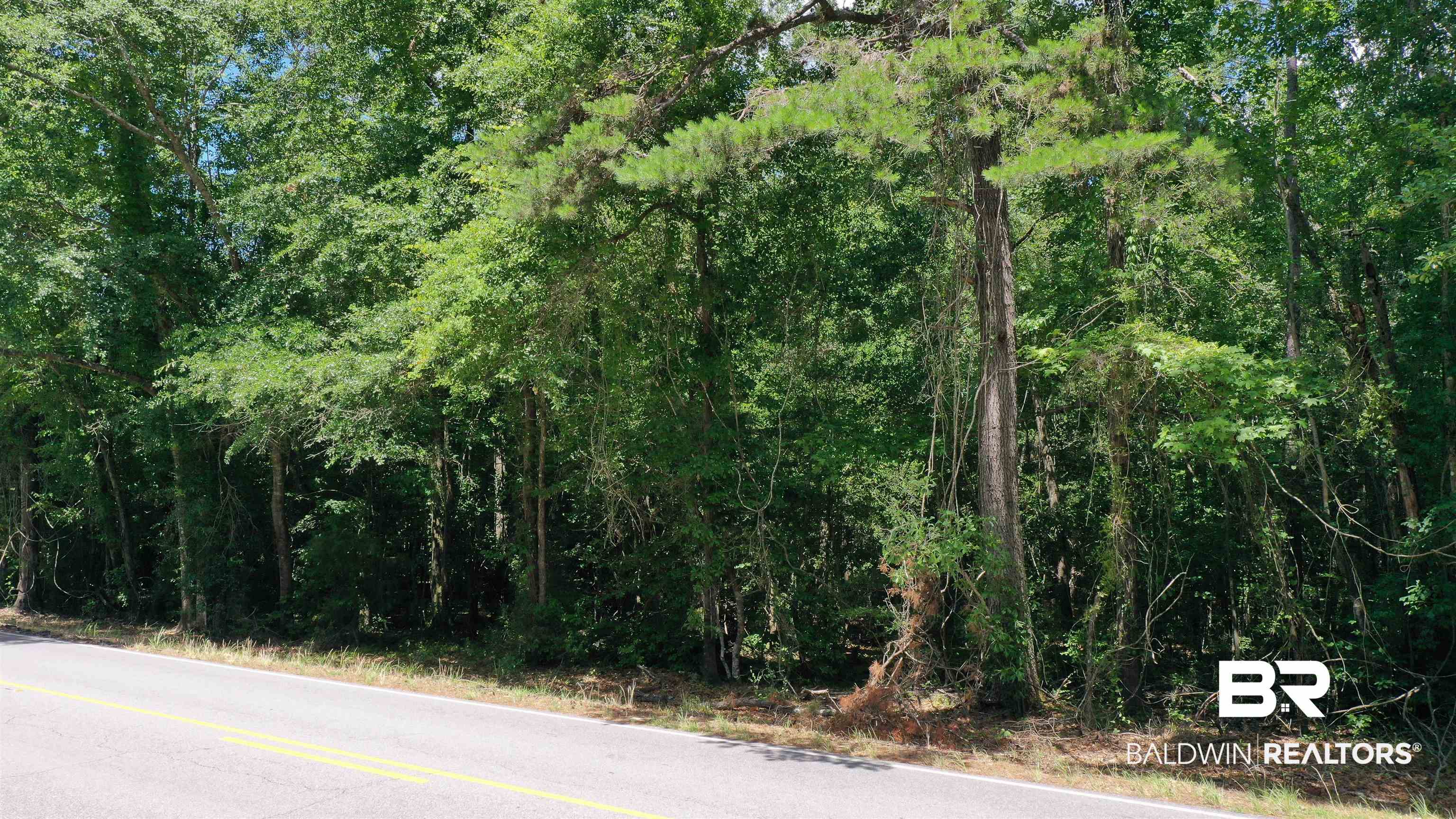 1 Jay Road Brewton, AL 36426 - Photo 13 of 14