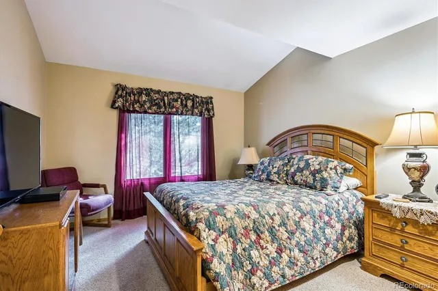 a bedroom with a bed and a tv in it